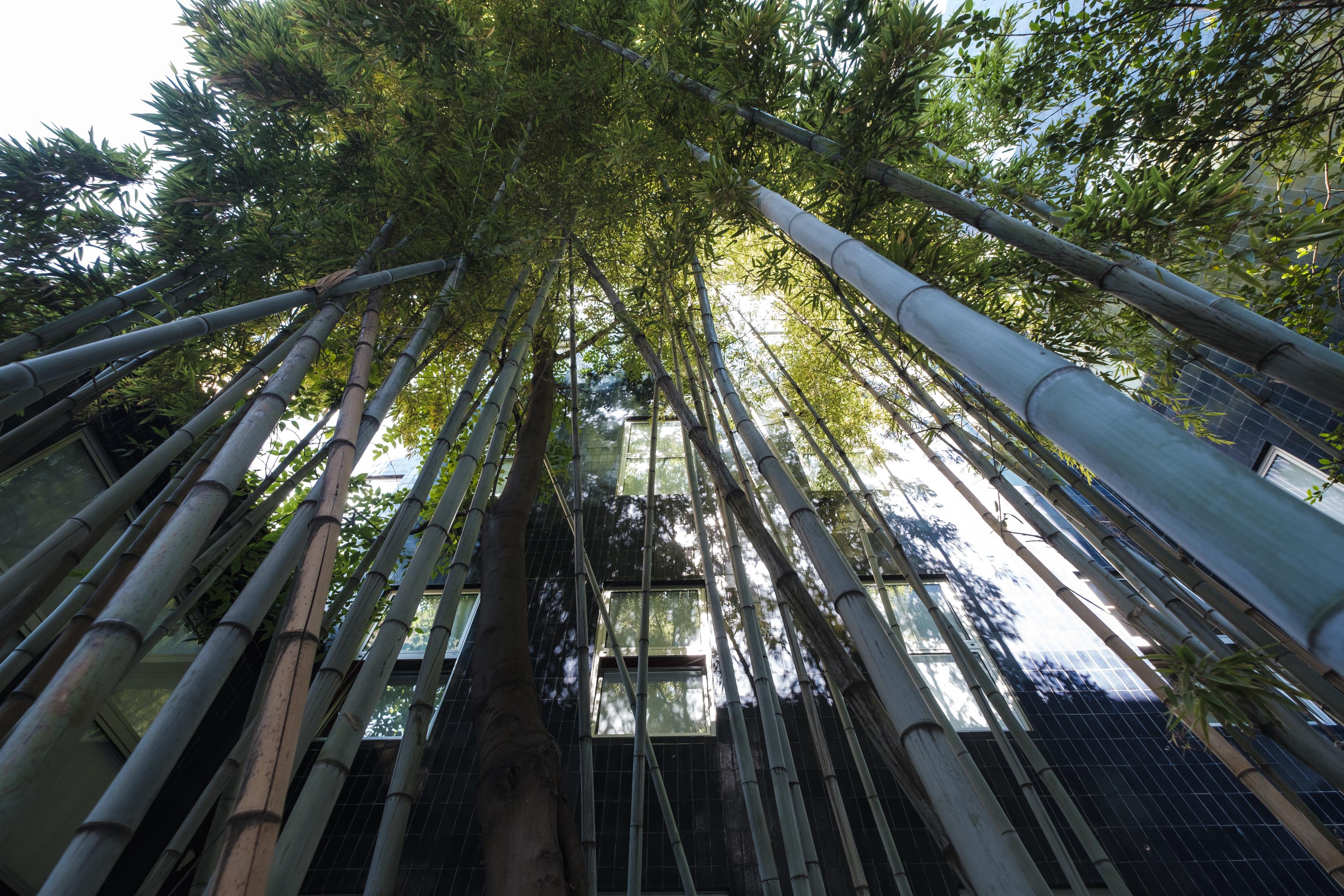 Residence Sacchi Aparthotel Turin Exterior photo