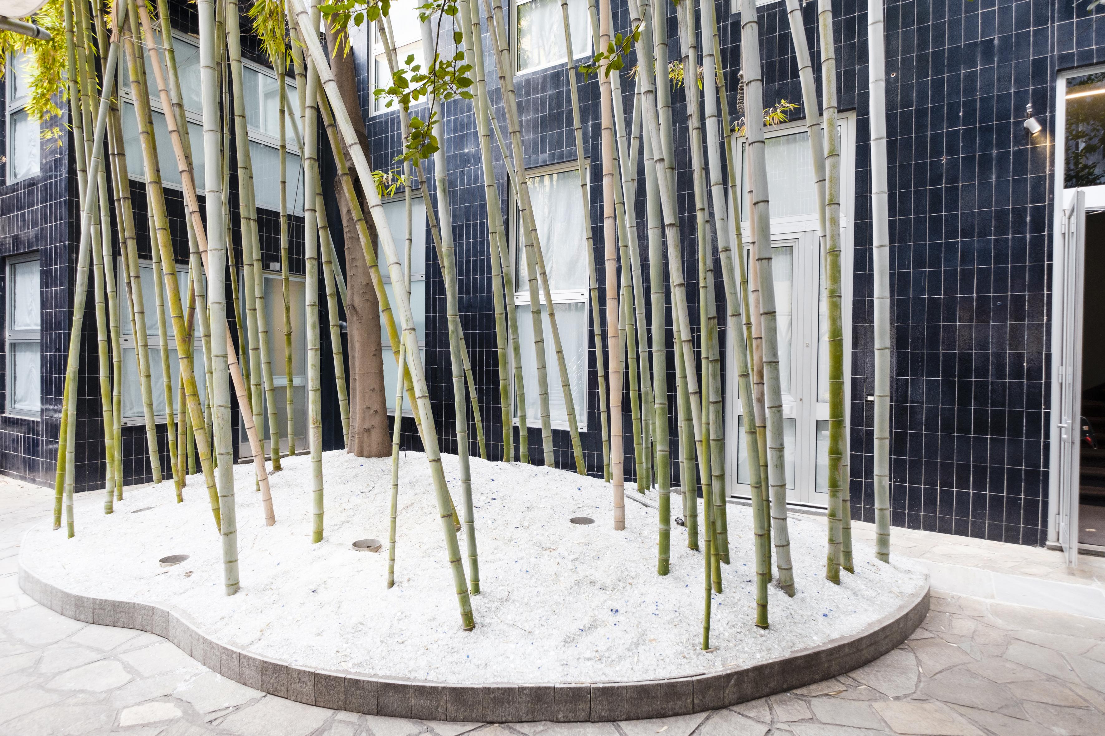 Residence Sacchi Aparthotel Turin Exterior photo